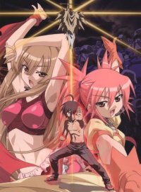 BUY NEW seto no hanayome - 146850 Premium Anime Print Poster